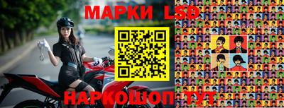 прущие грибы Сланцы